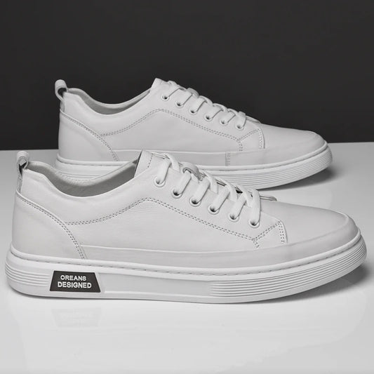 Genuine Leather Men Shoes High Quality Man Sneakers Luxury Brand Oxford Shoes Fashion Male Casual Shoes Skateboard New Footwear